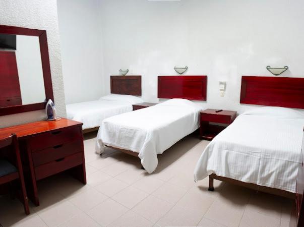 Hotel Nueva Antequera Oaxaca Ngoại thất bức ảnh