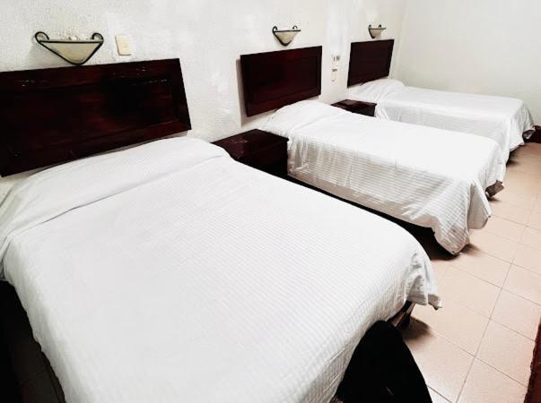Hotel Nueva Antequera Oaxaca Ngoại thất bức ảnh